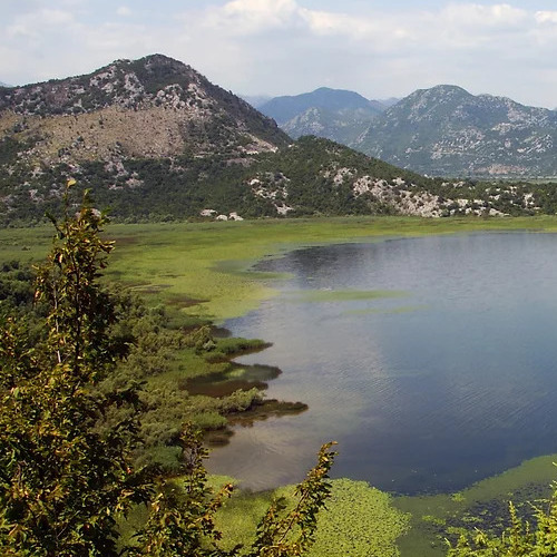 horse riding montenegro girl horse